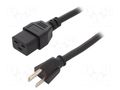 Cable; 3x14AWG; IEC C19 female,NEMA 5-15 (B) plug; PVC; 2.5m SCHURTER 6009.5195