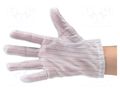 Cleanroom acces: protective gloves; white; S; dissipative; ISO 6 EUROSTAT GROUP ERS-516900500