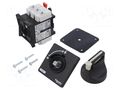 Main emergency switch-disconnector; Poles: 3; 32A; IP65; -20÷50°C SCHNEIDER ELECTRIC VBF1