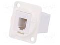 Coupler; FT; 4p4c; RJ9 socket,both sides; 19x24mm; plastic CLIFF CP30228W