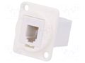 Coupler; FT; 4p4c; RJ9 socket,both sides; 19x24mm; plastic CLIFF CP30228W