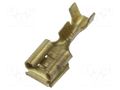 Terminal: flat; 6.3mm; 0.8mm; female/male; 1÷2.5mm2; crimped; brass BM GROUP BM02298
