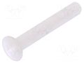 Screw; M3x20; 0.5; Head: countersunk; slotted; 1mm; polyamide; 8G202 DREMEC DR8G202M3X20