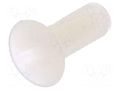 Screw; M3x8; 0.5; Head: countersunk; slotted; 1mm; polyamide; 8G202 DREMEC DR8G202M3X8