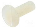 Screw; M4x12; 0.7; Head: countersunk; slotted; 1.3mm; polyamide DREMEC DR8G202M4X12