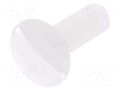 Screw; M4x12; 0.7; Head: oval,countersunk; slotted; 1.3mm; natural DREMEC DR8G203M4X12