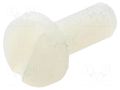 Screw; M4x10; 0.7; Head: cheese head; slotted; 1.3mm; polyamide DREMEC DR8G204M4X10