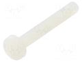 Screw; M3x20; 0.5; Head: cheese head; Pozidriv; 0.8mm; polyamide DREMEC DR8G205M3X20