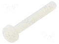 Screw; M3x20; 0.5; Head: cheese head; Pozidriv; 0.8mm; polyamide DREMEC DR8G205M3X20
