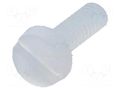 Screw; M2x6; 0.4; Head: cheese head; slotted; 0.6mm; polyamide DREMEC DR8G201M2X6