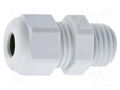 Cable gland; PG36; IP54; polyamide; light grey; UL94V-0; HSK-K HUMMEL HUMMEL-1209360014