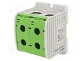 Splice terminal: rail; STB; 520A; 1kV; screw terminal; green; TS35 SIMET STB300-2GR