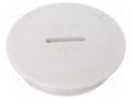 Stopper; PG29; IP56; polyamide; light grey; Thread: PG; 8mm BM GROUP BM4602
