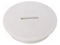 Stopper; PG29; IP56; polyamide; light grey; Thread: PG; 8mm BM GROUP BM4602