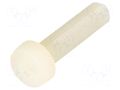 Screw; M5x20; 0.8; Head: cheese head; slotted; 1.3mm; polyamide DREMEC DR8G201M5X20
