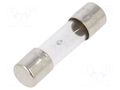 Fuse: fuse; 3.15A; 250VAC; time-lag; glass; 5x20mm; brass; bulk OPTIFUSE TSD-3.15A