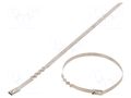 Cable tie; L: 1000mm; W: 4.6mm; acid resistant steel AISI 316 RAYCHEM RPG BUZ46-1000