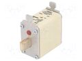 Fuse: fuse; 100A; 690VAC; gG; industrial; NH00 HAGER LNH00100M6