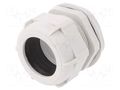 Cable gland; PG48; IP68; polyamide; light grey BM GROUP BM4748