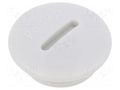 Stopper; PG13,5; IP56; polyamide; light grey; Thread: PG; 6mm BM GROUP BM4599