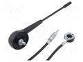 Antenna; car top; 0.19m; AM,FM; Alfa Romeo,Fiat,Lancia; universal PER.PIC. A00007.C