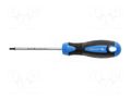 Screwdriver; Torx®; TX20; 100mm HÖGERT TECHNIK HT1S055