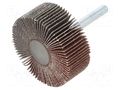 Grinding pin; Granularity: 80; Holder: plunger; 6mm; flap PG PROFESSIONAL PG-RG.054