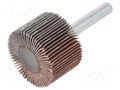 Grinding pin; Granularity: 120; Holder: plunger; 6mm; flap PG PROFESSIONAL PG-RG.076