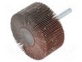 Grinding pin; Granularity: 120; Mounting: rod 6mm; Ø60x30mm PG PROFESSIONAL PG-RG.096