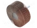Grinding pin; Granularity: 120; Mounting: rod 6mm; Ø80x30mm PG PROFESSIONAL PG-RG.102