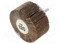 Grinding pin; Granularity: 120; Mounting: rod 6mm; Ø80x40mm PG PROFESSIONAL PG-RG.103