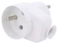Connector: AC supply; male; plug; 2P+PE; 250VAC; 16A; white; PIN: 3 PLASTROL W-97407