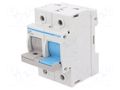 Fuse disconnector; D02; for DIN rail mounting; 63A; 400V; Poles: 2 HAGER L75M