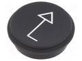 Button; round; Ø21mm; black; 09 EAO 09-0S12.0651B