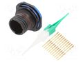 Connector: military; socket; male; PIN: 22; straight; crimped; 5A AMPHENOL AIR D38999/24ZC35PN
