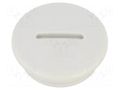 Stopper; PG21; IP56; polyamide; light grey; Thread: PG; 8mm BM GROUP BM4601