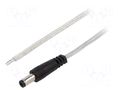 Cable; 2x0.5mm2; wires,DC 5,5/2,1 plug; straight; transparent; 5m BQ CABLE DC.CAB.8200.0500