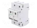 Fuse disconnector; D02; for DIN rail mounting; 63A; Poles: 2; 400V SCHNEIDER ELECTRIC MGN02263