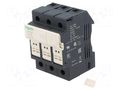 Fuse base; 10x38mm; for DIN rail mounting; 32A; Poles: 3 SCHNEIDER ELECTRIC DF103V