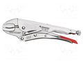 Pliers; locking; Pliers len: 250mm; Grip capac: 8÷40mm RENNSTEIG REN.1602505