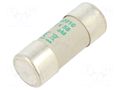 Fuse: fuse; 10A; 690VAC; aM; ceramic,cylindrical,industrial DF ELECTRIC 442010