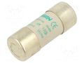 Fuse: fuse; 100A; 500VAC; aM; ceramic; 22x58mm SCHNEIDER ELECTRIC DF2FA100