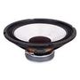 MUSICAL INSTRUMENT SPEAKER, 10  , ALUM 55-1300