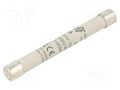 Fuse: fuse; 6A; 1kVAC; gS; ceramic,industrial; 10x85mm DF ELECTRIC 494006