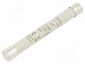 Fuse: fuse; 10A; 1kVAC; gS; ceramic,industrial; 10x85mm DF ELECTRIC 494010