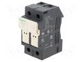 Fuse base; for DIN rail mounting; Poles: 1 SCHNEIDER ELECTRIC DF221NV