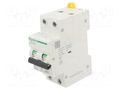 RCBO breaker; Inom: 10A; Ires: 30mA; Poles: 2; 230/400VAC; IP20; RCBO SCHNEIDER ELECTRIC A9D17210