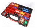 Kit: designed for terminal crimping; 0.75÷16mm2; box BM GROUP BM00412