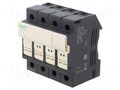 Fuse base; 8.5x31.5mm; for DIN rail mounting; 25A; Poles: 3 SCHNEIDER ELECTRIC DF83N