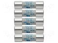 Fuse; 10x38mm; 1kV; 10A; 5pcs. TESTO TESTO-05900004